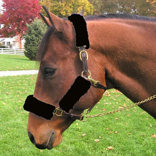 Basic Fleece Halter Tube Set - Image 6