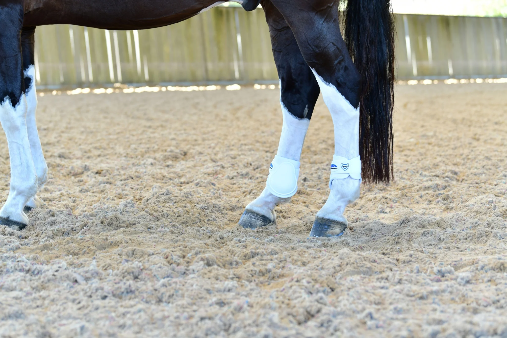 Weatherbeeta Tough-Tec Prime Fetlock Boots - Image 24