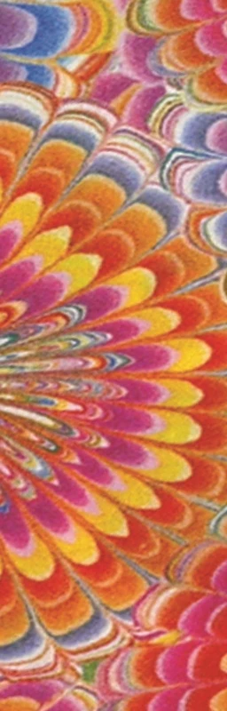 Ovation Ladies Zocks Boot Socks - Image 23